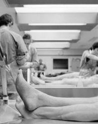 法医解剖吃瓜网,揭秘吃瓜网上的神秘世界