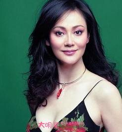 女明星大宋佳,光影交织下的璀璨星途