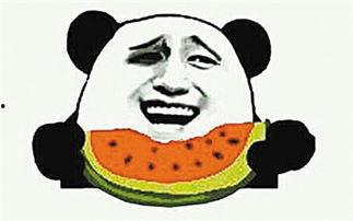 吃瓜群众吃的什么瓜,从明星绯闻到社会热点，一网打尽